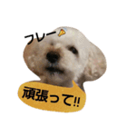 GO！ GO！ 龍ちゃんⅤ（個別スタンプ：3）