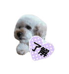 GO！ GO！ 龍ちゃんⅤ（個別スタンプ：6）