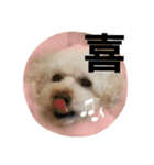GO！ GO！ 龍ちゃんⅤ（個別スタンプ：9）