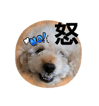 GO！ GO！ 龍ちゃんⅤ（個別スタンプ：10）