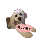 GO！ GO！ 龍ちゃんⅤ（個別スタンプ：14）