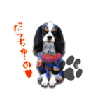 マルプーコウイチロウとお友達 1（個別スタンプ：18）