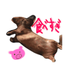 細貝（個別スタンプ：23）