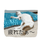 うちのたま（個別スタンプ：7）