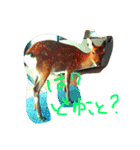 おきらくごくらく。（個別スタンプ：9）