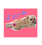 みゆぴちの日常（個別スタンプ：4）