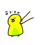 インコきよまさ（個別スタンプ：4）