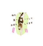 スコのきなこ（個別スタンプ：16）