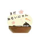 スコのきなこ（個別スタンプ：30）
