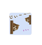 スコのきなこ（個別スタンプ：32）
