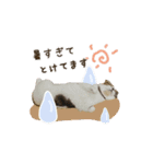 スコのきなこ（個別スタンプ：34）