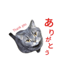 ラグーン君のスタンプ（個別スタンプ：13）