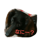 まなみとペット（個別スタンプ：2）