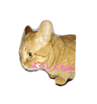 まなみとペット（個別スタンプ：7）