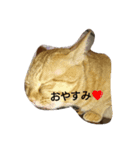 まなみとペット（個別スタンプ：8）