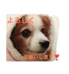 グゥスタンプ（個別スタンプ：2）