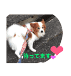 グゥスタンプ（個別スタンプ：3）