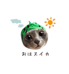 もちもちブラザーズ（個別スタンプ：1）