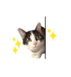 もちもちブラザーズ（個別スタンプ：3）