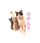 もちもちブラザーズ（個別スタンプ：4）