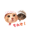 もちもちブラザーズ（個別スタンプ：5）