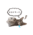 もちもちブラザーズ（個別スタンプ：7）