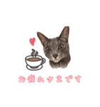もちもちブラザーズ（個別スタンプ：9）