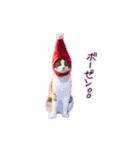 もちもちブラザーズ（個別スタンプ：16）