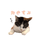 もちもちブラザーズ（個別スタンプ：22）