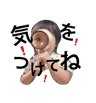 我が家のぴよりん（個別スタンプ：20）