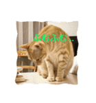 サランちゃんの可愛い猫スタンプ2（個別スタンプ：7）