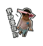 Qin Ting black box（個別スタンプ：13）