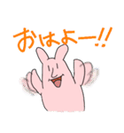 ニャンとピョンのスタンプ（個別スタンプ：19）