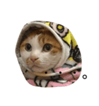 もっちのスタンプ（個別スタンプ：3）