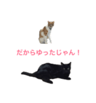 なすぷ（個別スタンプ：2）