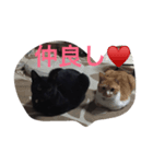 なすぷ（個別スタンプ：6）
