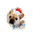 フレブルふぁむち2（個別スタンプ：4）