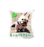 フレブルふぁむち2（個別スタンプ：7）