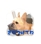 フレブルふぁむち2（個別スタンプ：8）