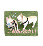 フレブルふぁむち2（個別スタンプ：11）