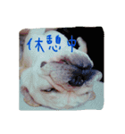 フレブルふぁむち2（個別スタンプ：13）