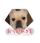 フレブルふぁむち2（個別スタンプ：16）
