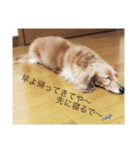 ルイちゃん1（個別スタンプ：1）