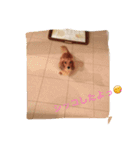 ルイちゃん1（個別スタンプ：12）