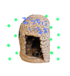 ゆるねこマロちゃん（個別スタンプ：16）