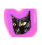 黒猫モモ（個別スタンプ：2）