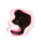 黒猫モモ（個別スタンプ：3）