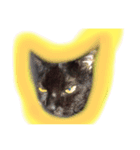 黒猫モモ（個別スタンプ：7）