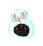 黒猫モモ（個別スタンプ：8）