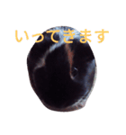 モルモット るる 日常会話2（個別スタンプ：10）